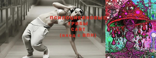 герыч Алексин
