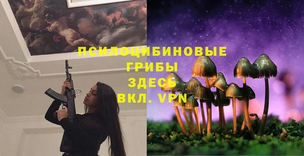 твердый Алексеевка